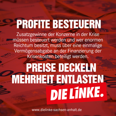 Facebook-Template-Profite01.png
