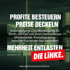 Facebook-Template-Profite02.png