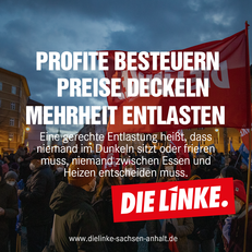 Facebook-Template-Profite03.png